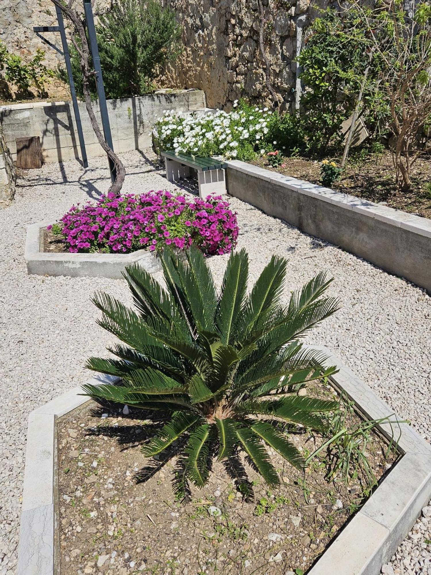 Apartment Marija Close To Old Town Dubrovnik Room photo